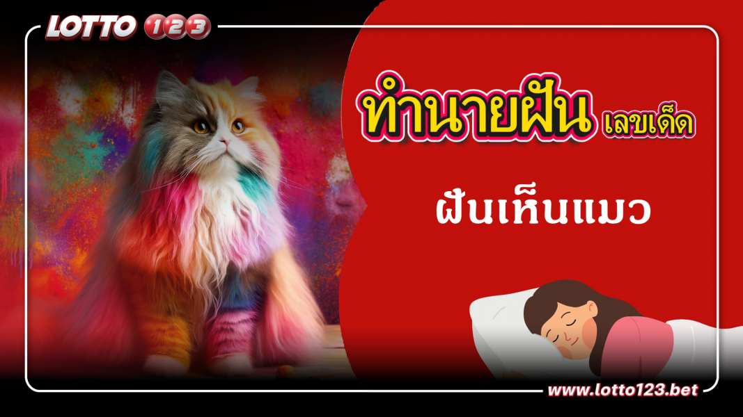 ทำนายฝันเลขเด็ด ฝันเห็นแมว